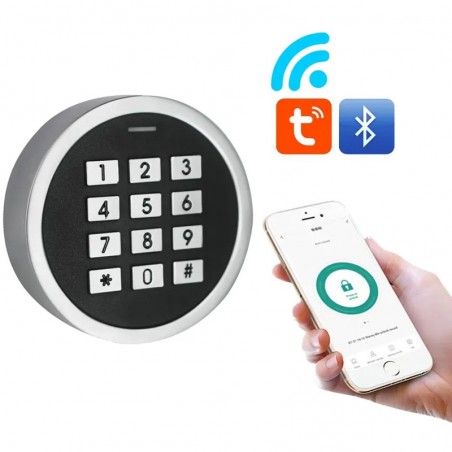 Tuya Mini Access Controller met Bluetooth Smartcard en toetsenbord