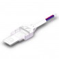Connecteur Étanche pour LED RGBW SMD à 5 Broches de Bande à Alimentation