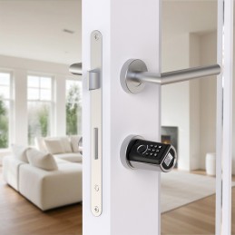 WELOCK TouchAEBL41 – Serrure intelligente avec empreinte digitale, codes et RFID