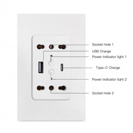 Tuya Dubbele Smart WiFi Wandcontactdoos Inbouw 16A met USB en Type-C