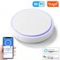Capteur de présence humaine intelligent Tuya WiFi