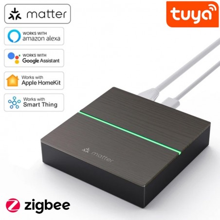 Tuya Gateway Smart Zigbee + Matter mit LAN | Alexa Google Home