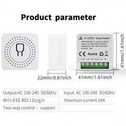 Tuya Matter 16A Smart WiFi Switch – Alexa, Google, Apple HomeKit