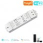 Controlador de tira LED Tuya Smart WiFi de 2 canales 0/1–10V con atenuador y CCT, control RF y botón pulsador.