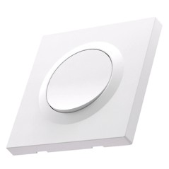 Expert4house Sonoff Orb-MW1 Interruptor de luz de pared con Mini R4 Smart Matter sobre WiFi