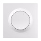 Interrupteur mural intelligent Zigbee Sonoff Orb-ZBW1L Mini L2