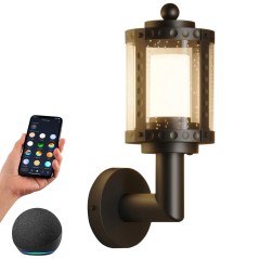 Applique LED Smart Tuya Vintage RGBCW WiFi/Bluetooth