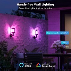 Tuya Applique Vintage a LED da Esterno Smart WiFi e Bluetooth RGBCW