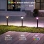 Lampe solaire de jardin LED intelligente Tuya avec WiFi et Bluetooth et détecteur de mouvement