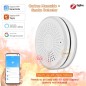 Tuya Smart ZigBee Kohlenmonoxid- und Rauchmelder