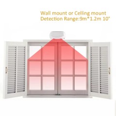 12V Curtain PIR Motion Sensor with Direction Recognition