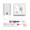 Termostati Zigbee per Caldaia