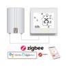 Termostatos Zigbee para Caldera
