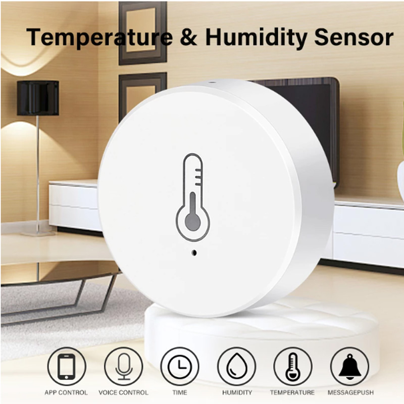 Sensore termometro igrometro WiFi con sonda esterna,monitor digitale  wireless di temperatura e umidità Aggiornamento sincronizzazione in tempo  reale,con retroilluminazione LCD,funziona con l'app Tuya : :  Giardino e giardinaggio